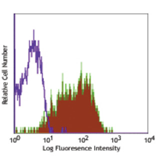 PE anti-human CD54