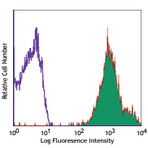 PE anti-human CD47