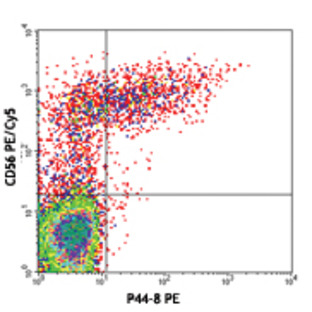 PE anti-human CD336 (NKp44)