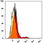 PE anti-human CD337 (NKp30)