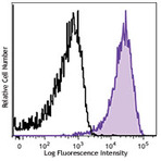 Brilliant Violet 421(TM) anti-human CD107a (LAMP-1)