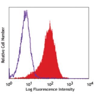 PE anti-human CD1b