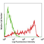 FITC anti-human SSEA-4