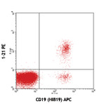 PE anti-human TCL1