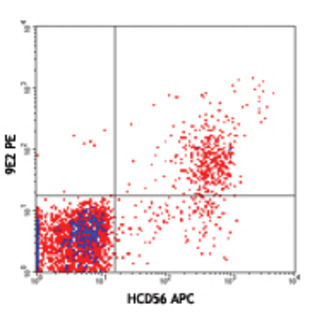 PE anti-human CD335 (NKp46)