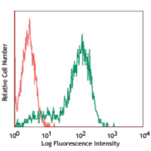 PE anti-human CD338 (ABCG2)