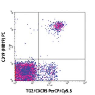 PerCP/Cy5.5 anti-human CD185 (CXCR5)