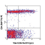 PerCP/Cy5.5 anti-human CD194 (CCR4)