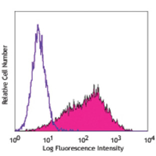 PE anti-human CD62E