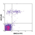 FITC anti-human CD23