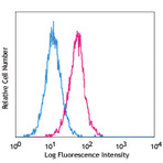 PerCP/Cy5.5 anti-human CD309 (VEGFR2, Flk-1)