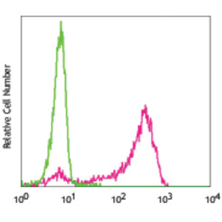 PE anti-Human CD300e (IREM-2, CMRF35-A5)