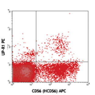 PE anti-human CD158f (KIR2DL5)