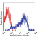 PE anti-human CD205 (DEC-205)