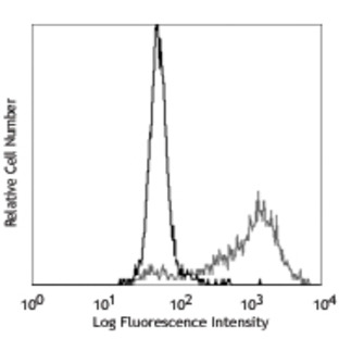 PE anti-human CD143 (Angiotensin-converting enzyme)