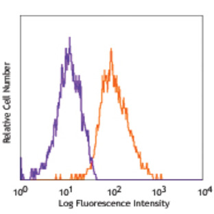 PE anti-human CD144 (VE-Cadherin)