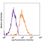 PE anti-human CD144 (VE-Cadherin)