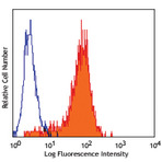 PE anti-human CD325 (N-Cadherin)