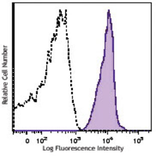 PE anti-human CD46