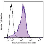 PE anti-human CD107b (LAMP-2)