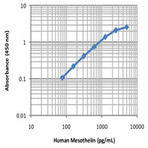 Human Mesothelin ELISA MAX(TM) Deluxe