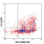 FITC anti-human IL-12/IL-23 p40