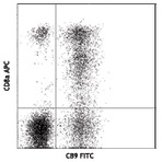 FITC anti-human Granzyme A