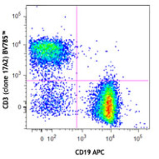 Brilliant Violet 785(TM) anti-mouse CD3