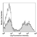 PE anti-mouse/human CD11b