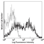 Purified anti-mouse/rat CD29