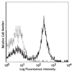 Purified anti-mouse CD40