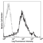 FITC anti-mouse/human CD44