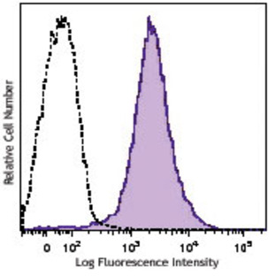 Brilliant Violet 570(TM) anti-mouse/human CD44