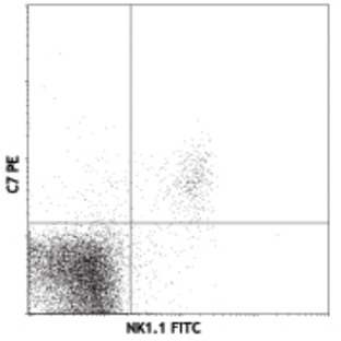 PE anti-mouse CD314 (NKG2D)