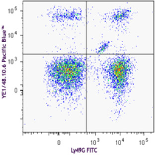 Pacific Blue(TM) anti-mouse Ly-49A