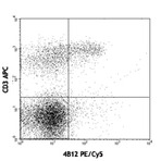 PE/Cy5 anti-mouse CD197 (CCR7)