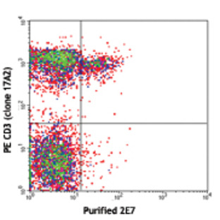 Purified anti-mouse CD103