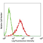 PerCP anti-mouse CD309 (VEGFR2, Flk-1)