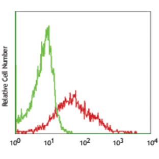 Purified anti-mouse CD202b (Tie-2, CD202)