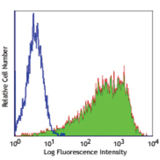 Purified anti-mouse/human SSEA-1