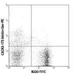 Biotin anti-mouse CD183 (CXCR3)