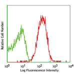 Purified anti-mouse IFNAR-1