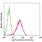 Purified anti-mouse Podoplanin