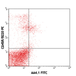 FITC anti-mouse CD93 (AA4.1, early B lineage)