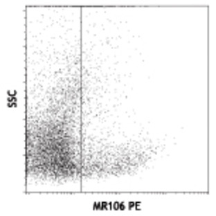 Purified anti-rat CD106