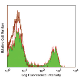 Purified anti-rat CD8b