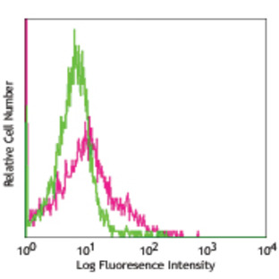 Purified anti-rat CD11b/c