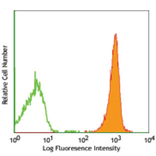 Purified anti-rat CD45