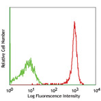 PE/Cy7 anti-rat CD45