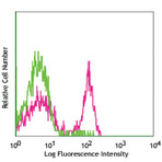 Purified anti-rat CD45RA